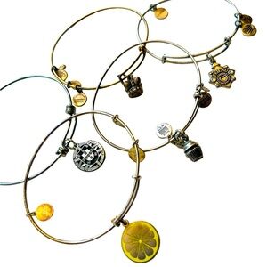 Variety of Bangles / Charm
